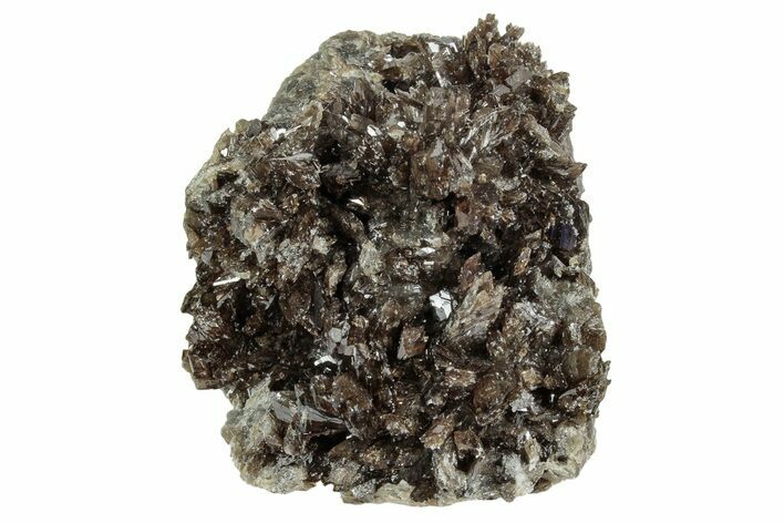 Lustrous Axinite Crystal Cluster - Dalnegorsk, Russia #239598